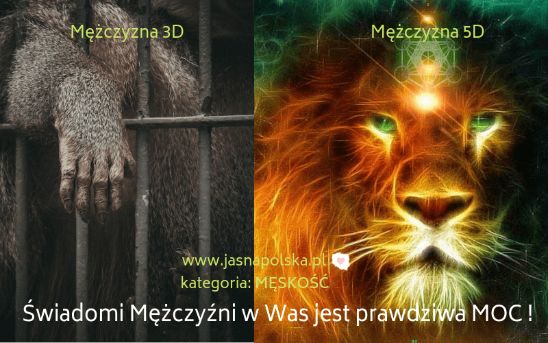 Jasna Polska, zdrowie, homeopatia, refleksologia, ajurweda, medycyna chinska, medycyna naturalna, uzdrowiciele, bioterapeuci, zielarze, uzdrowiciele, chiropraktyka, biorezonans, naturoterpaia, masaze, tantra, medytacja, ezoteryka, ekonomia spoleczna, slowianie, swiadomy mężczyzna