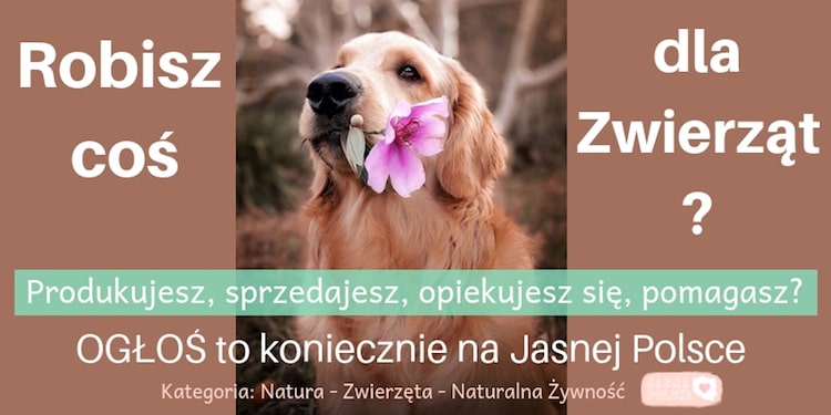 Jasna Polska to medycyna naturalna, zdrowie, tantra, medytacja, ezoteryka, astrologia, muzyka relaksacyjna, wibracje, motywacja, ekonomia spoleczna, slowianie, alternatywne oferty pracy, duchowość, rozwój osobisty, rozwój duchowy, świadomość, warsztaty rozwoju osobistego, ośrodki i centra rozwoju osobistego, bio zywnosc, alternatywne media, slowianie, rekodzielo, ksiazki o rozwoju, ezo ogłoszenia, blog o życiu, blog duchowy