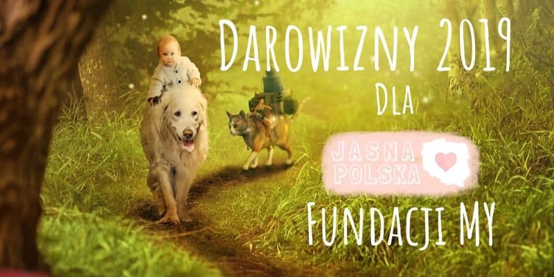 Aktualności z Jasnej Polski – Wasze Darowizny, Podsumowanie za 2019
