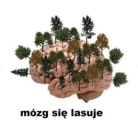 Wkraczamy w Erę Komercjalizacji „Duchowości”, Duchowego Przemysłu oraz … Pandemii Psychotropów – Prognoza