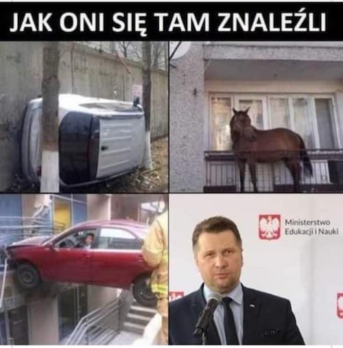 czarnek memy