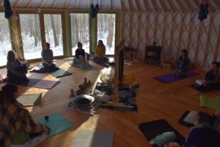 Ukojenie układu nerwowego ze Swami Karma Karuną✨ 🌿 Joga, która buduje odporność